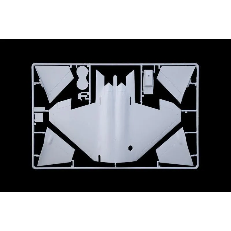 1/48 Lockheed Martin F22A Raptor