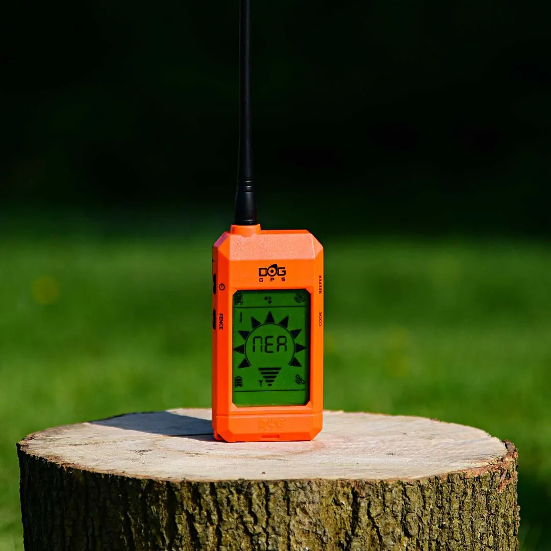 Dog Trace | DOG GPS X20 | Orange