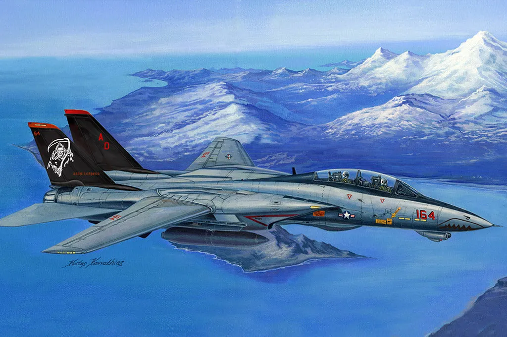 Hobby Boss 80368 F-14D Super Tomcat 1/48 Model Kit