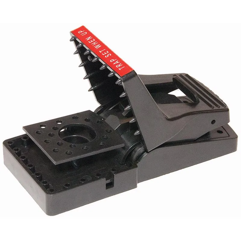 JT Eaton JAWZ Pro Series Small Snap Trap For Chipmunks and Rats 1 pk