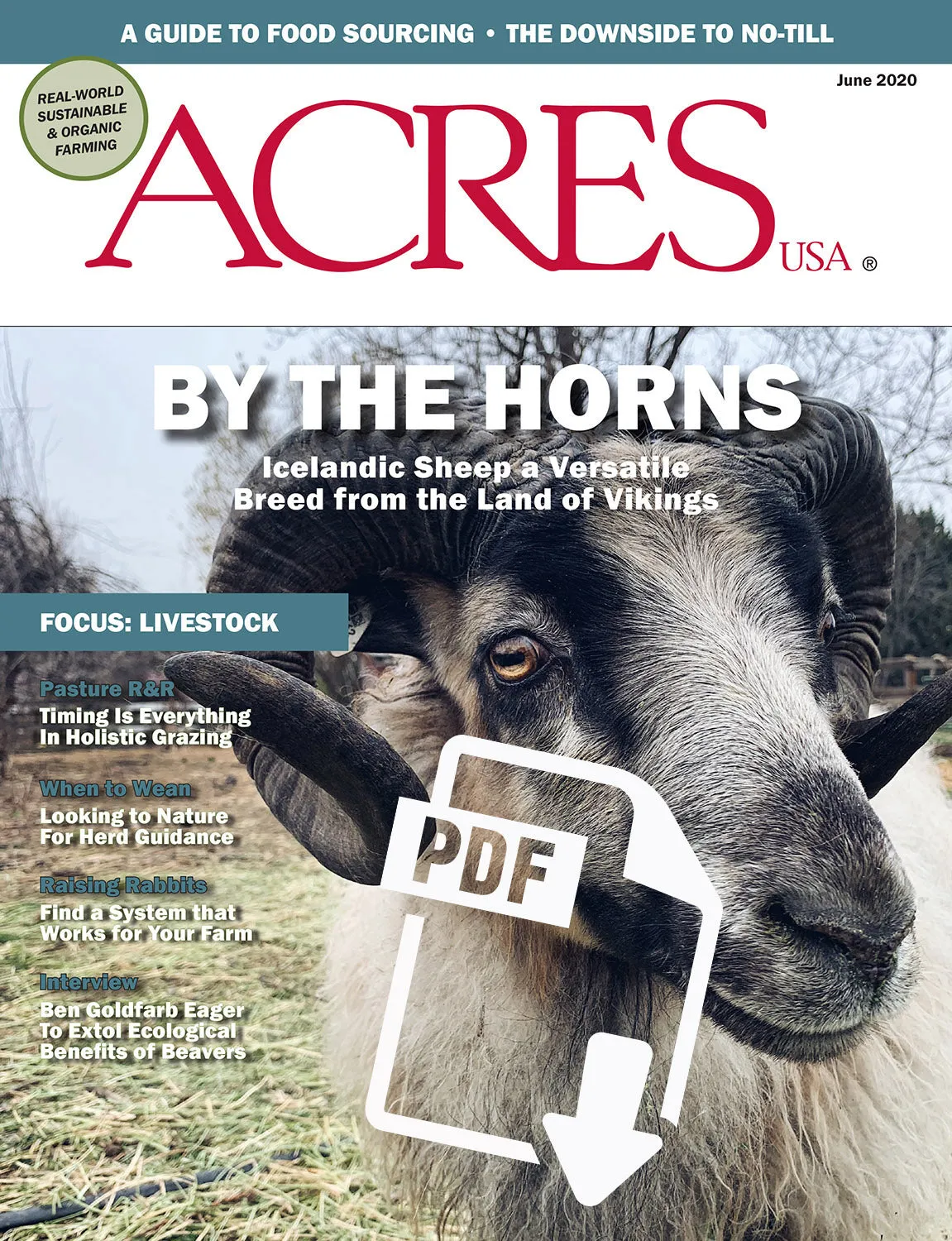 June 2020 Issue PDF