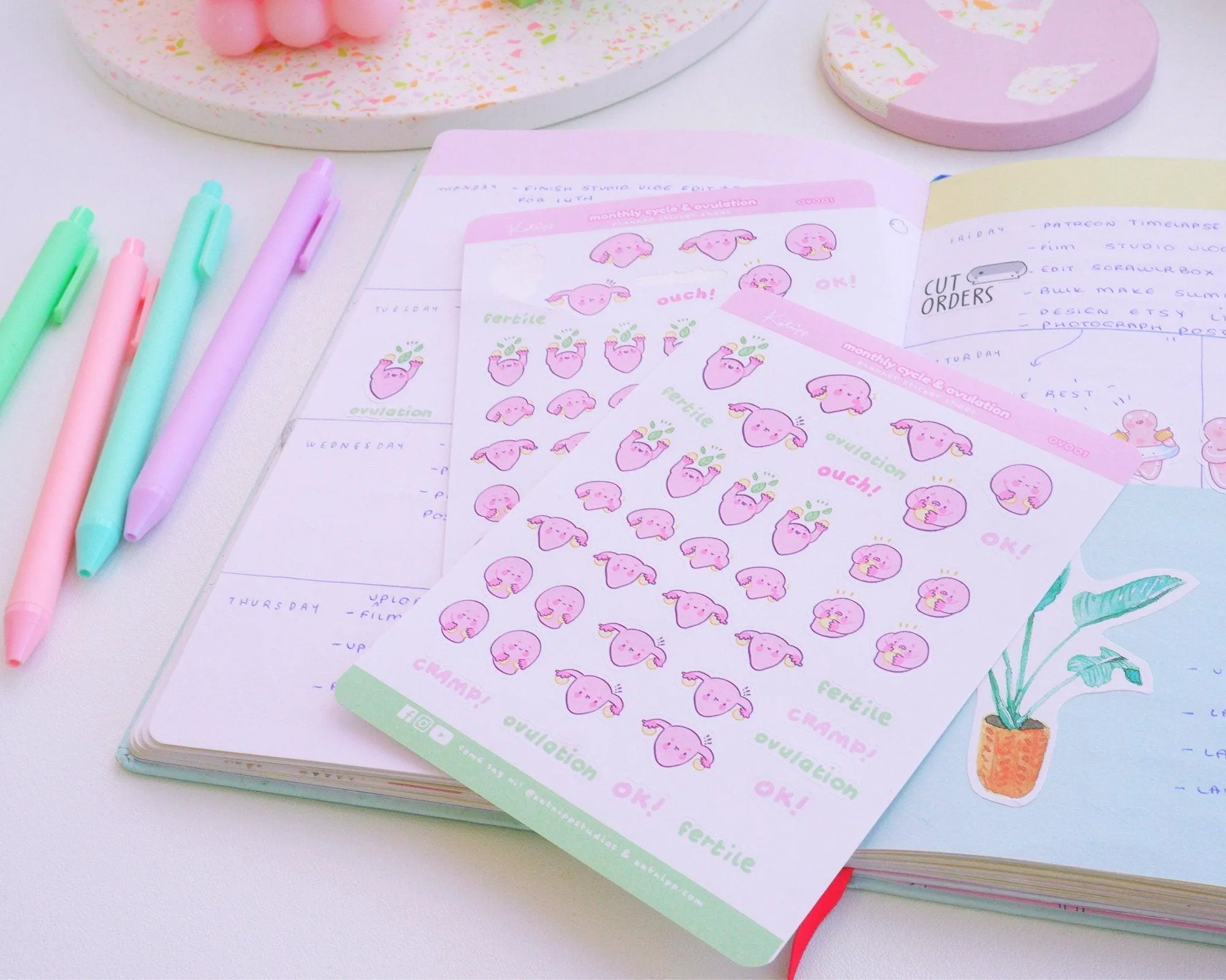 Monthly Cycle & Ovulation Sticker Sheet | Kawaii Period & Fertility Tracker | Women's Health Planner Stickers | OV001