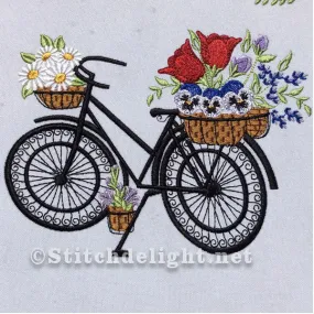 SDS0571 Bicycle