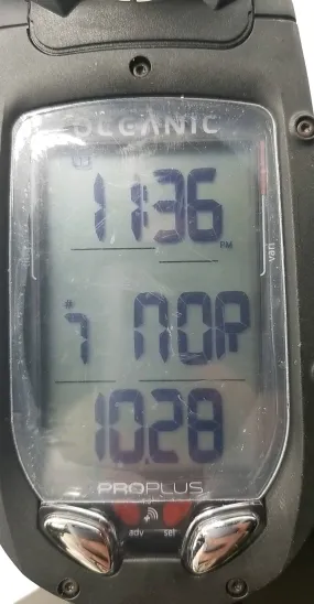 Used Oceanic PRO PLUS 4.0 with Compass, Quick Disconnect SH